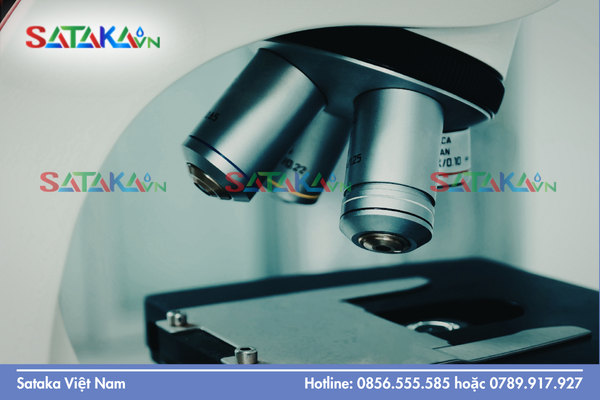 Chỉ số R&D: Thế nào là kích thước hạt siêu hiển vi trong dạng SC?