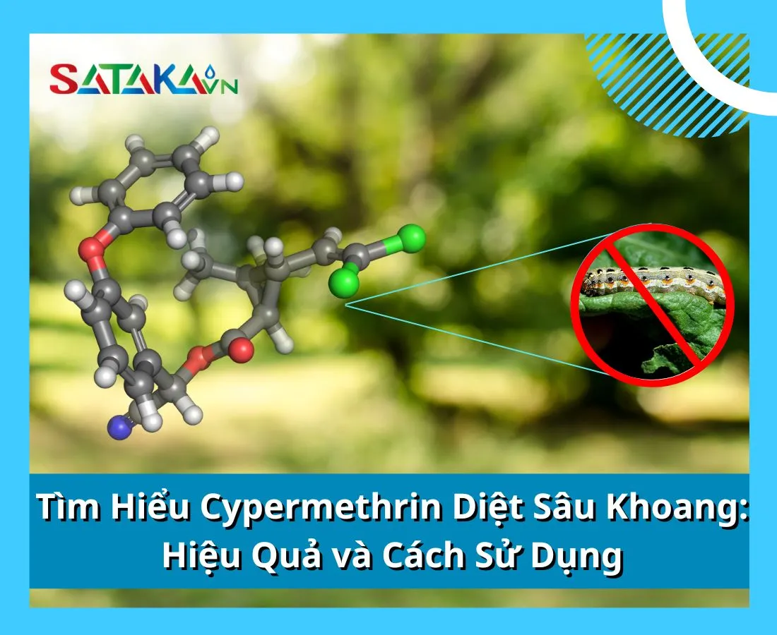 Tìm Hiểu Cypermethrin Diệt Sâu Khoang: Hiệu Quả và Cách Sử Dụng