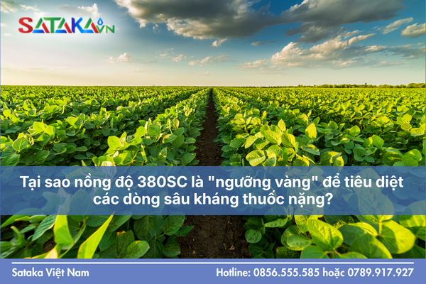 Tại sao nồng độ 380SC là "ngưỡng vàng" để tiêu diệt các dòng sâu kháng thuốc nặng?