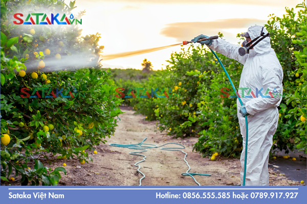 Câu hỏi thường gặp 