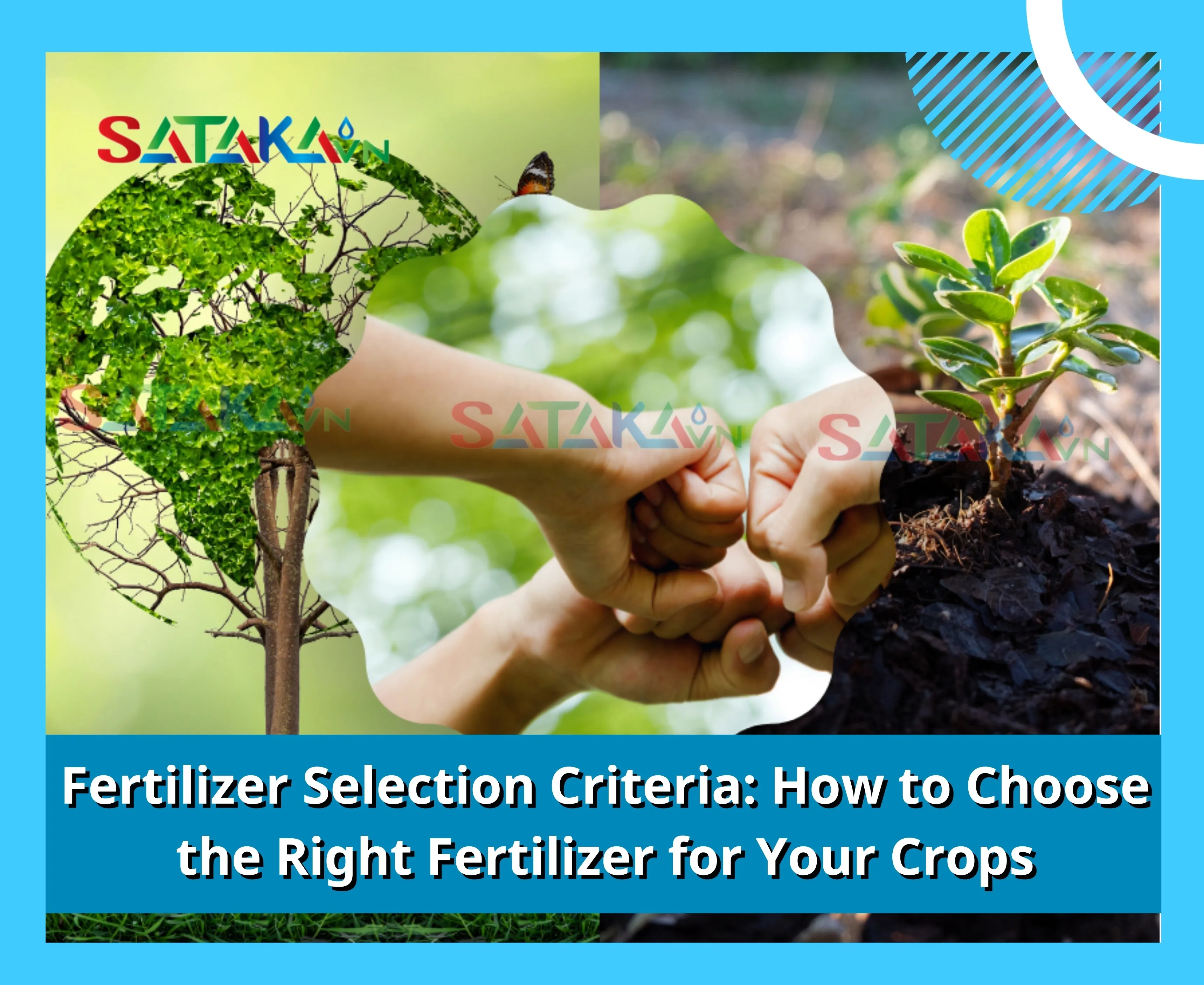 Fertilizer Selection Criteria: How to Choose the Right Fertilizer for Your Crops