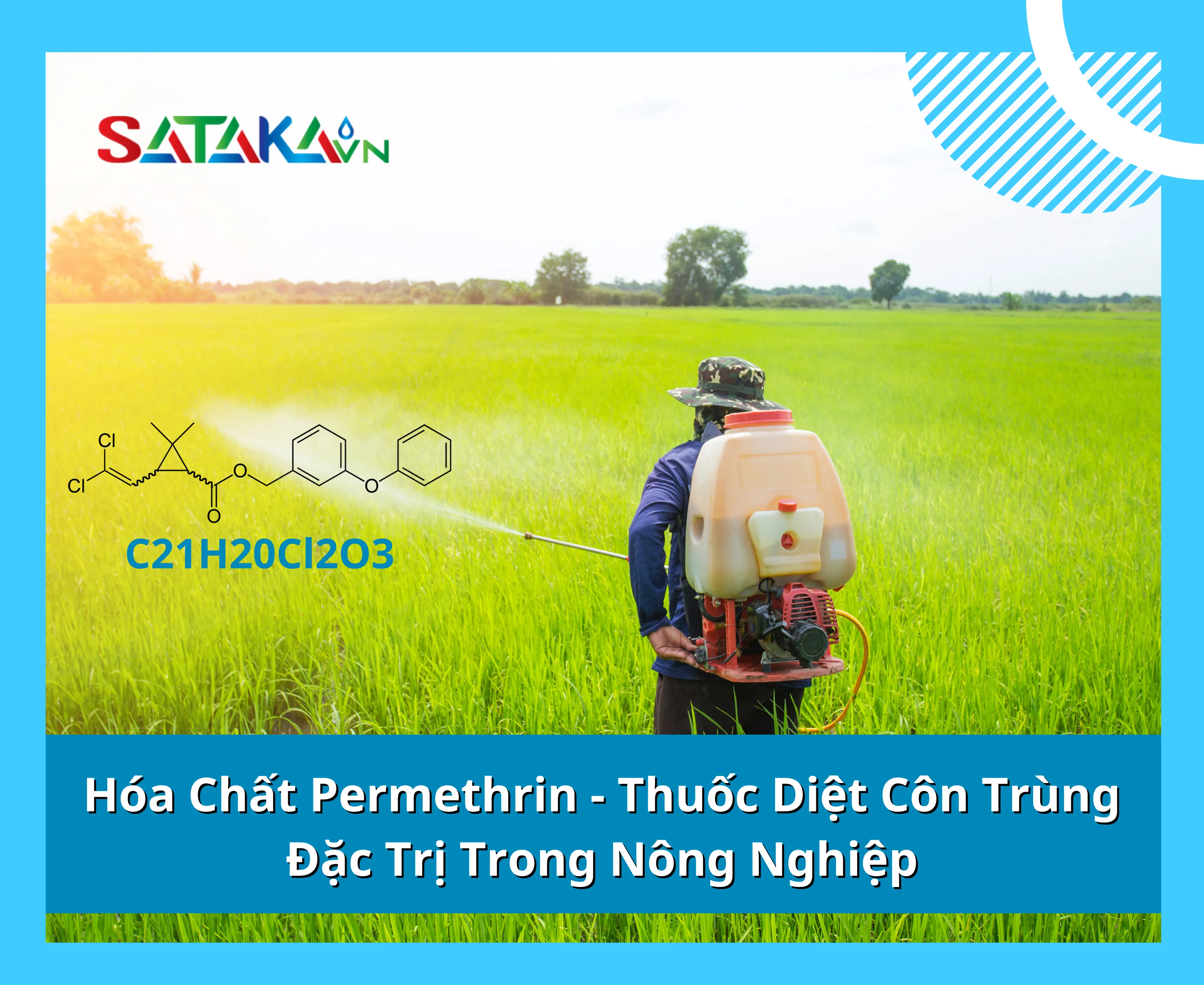 Hóa Chất Permethrin - Thuốc Diệt Côn Trùng Đặc Trị Trong Nông Nghiệp