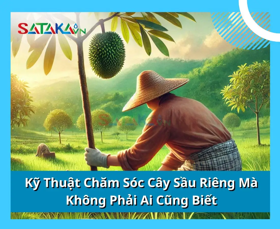 Kỹ Thuật Chăm Sóc Cây Sầu Riêng Mà Không Phải Ai Cũng Biết