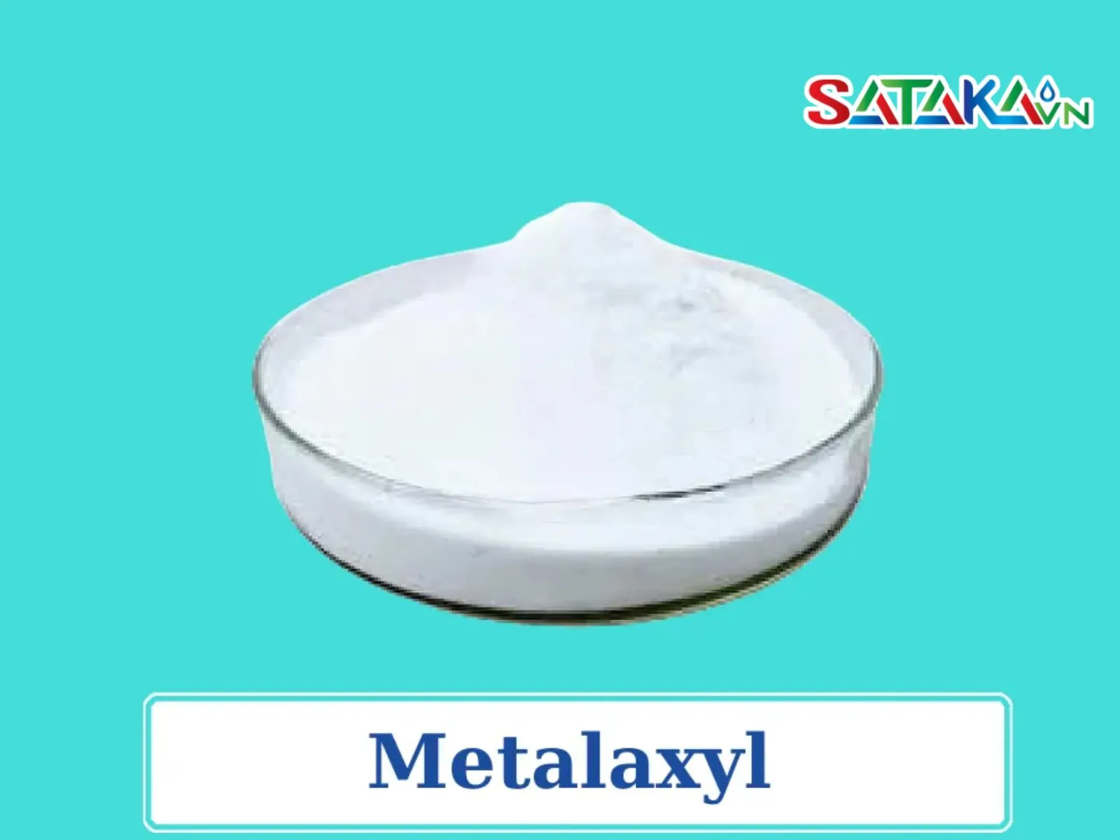 Hoạt chất Metalaxyl trị nấm Phytophthora Capsici