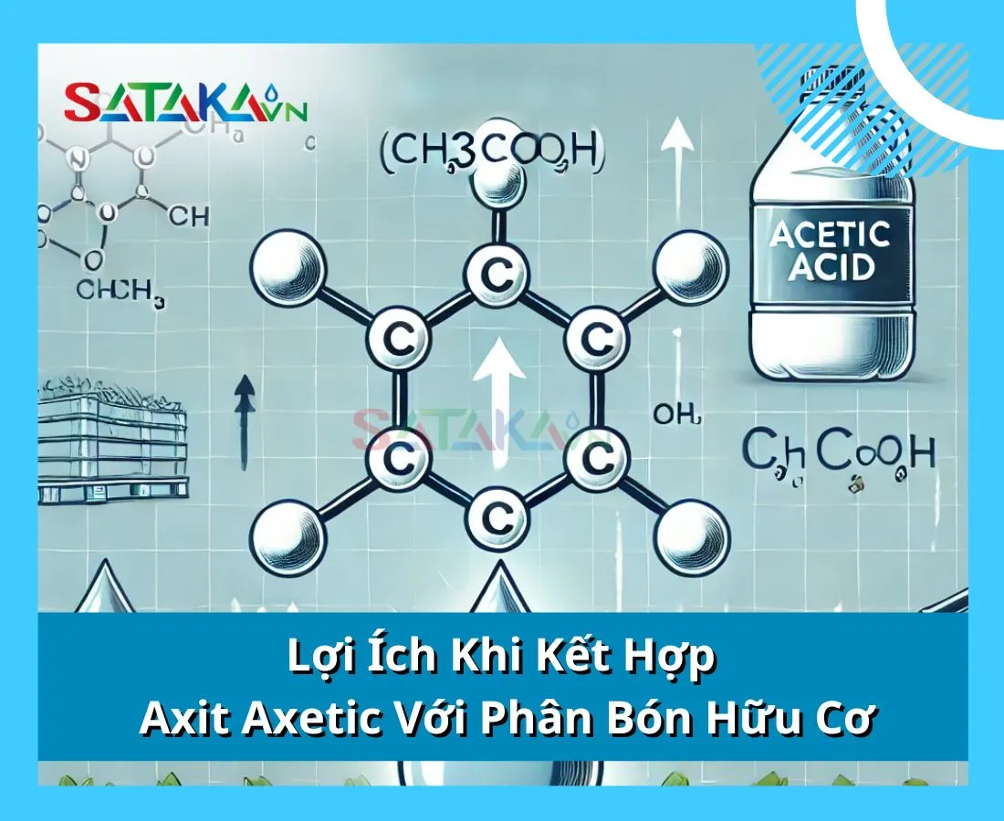 Lợi Ích Khi Kết Hợp Axit Axetic Với Phân Bón Hữu Cơ