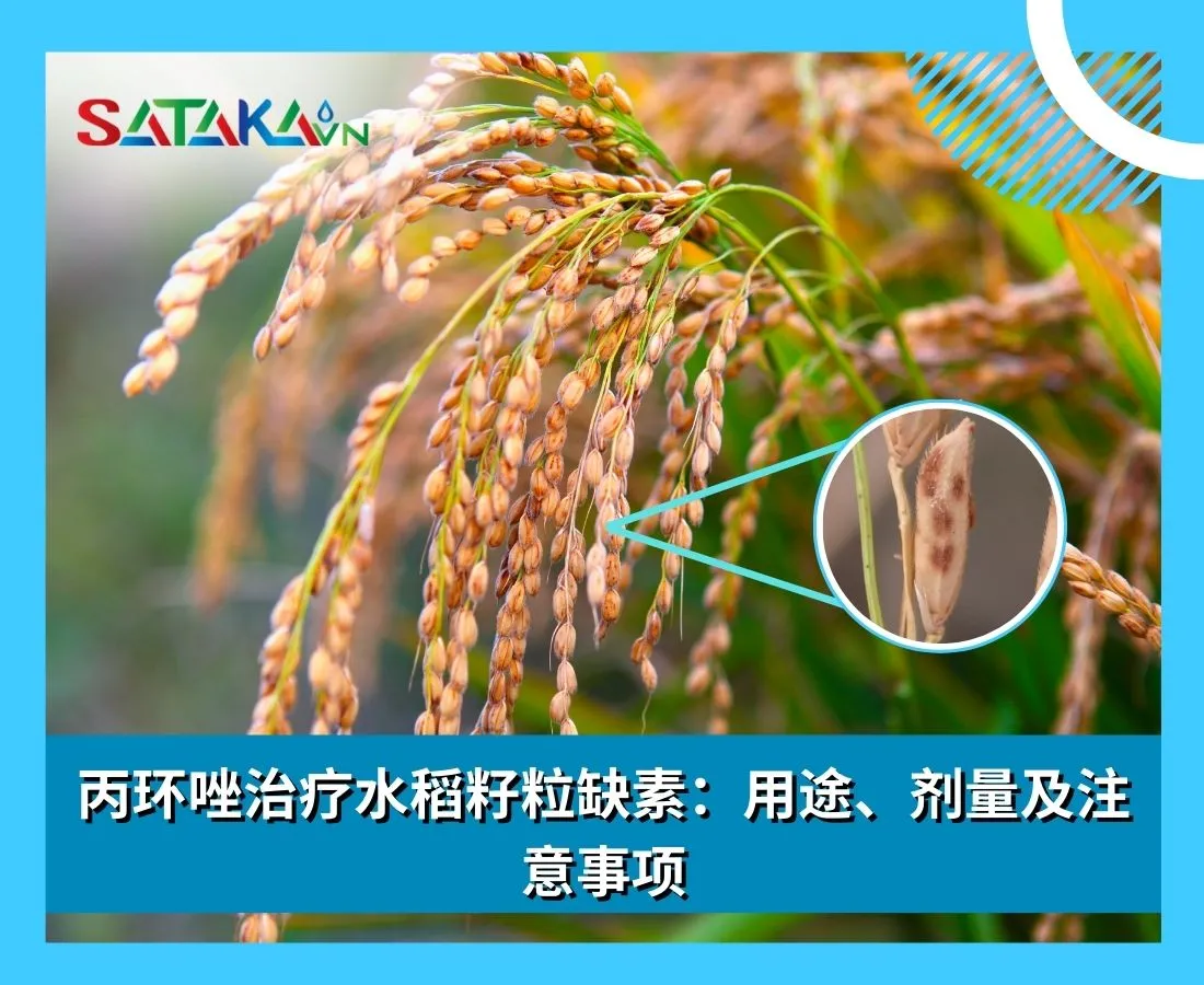 丙环唑治疗水稻籽粒缺素：用途、剂量及注意事项