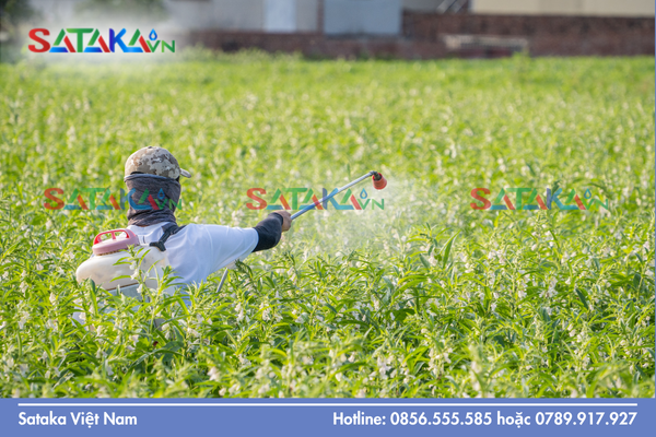 Câu hỏi thường gặp