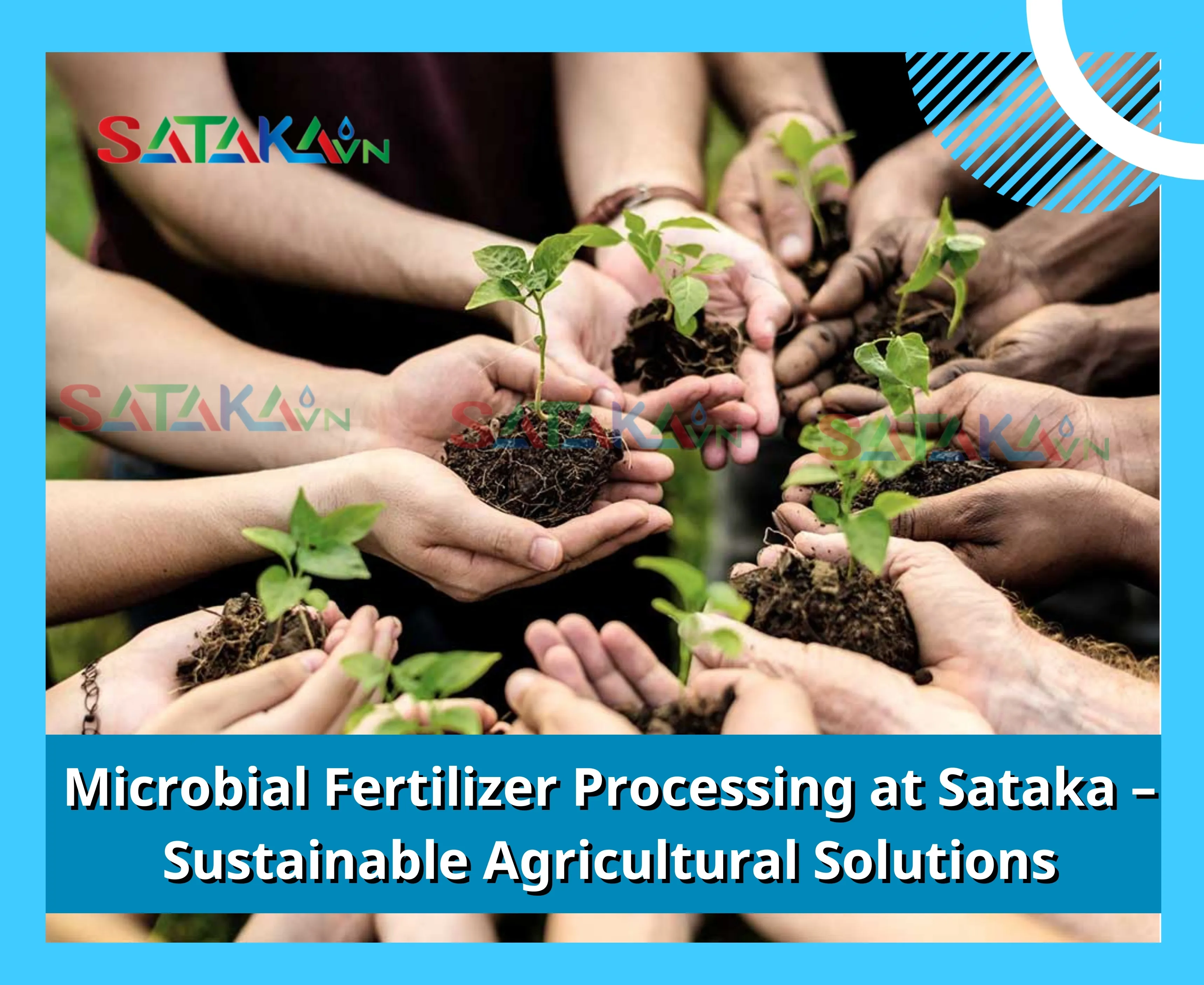 Microbial Fertilizer Processing at Sataka – Sustainable Agricultural Solutions