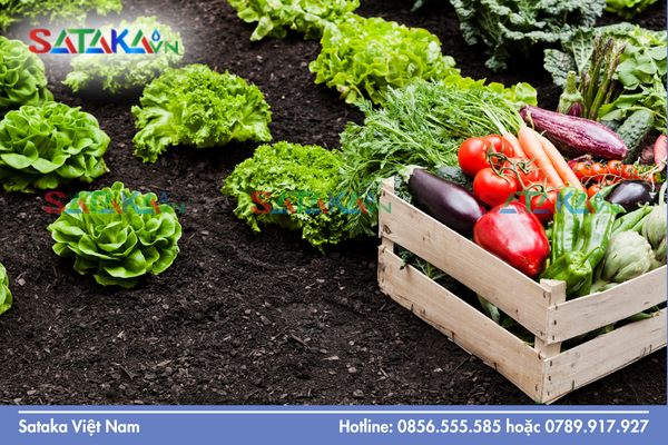 Hiệu quả bảo vệ cây trồng toàn diện và kéo dài