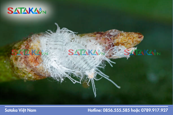 Câu hỏi thường gặp