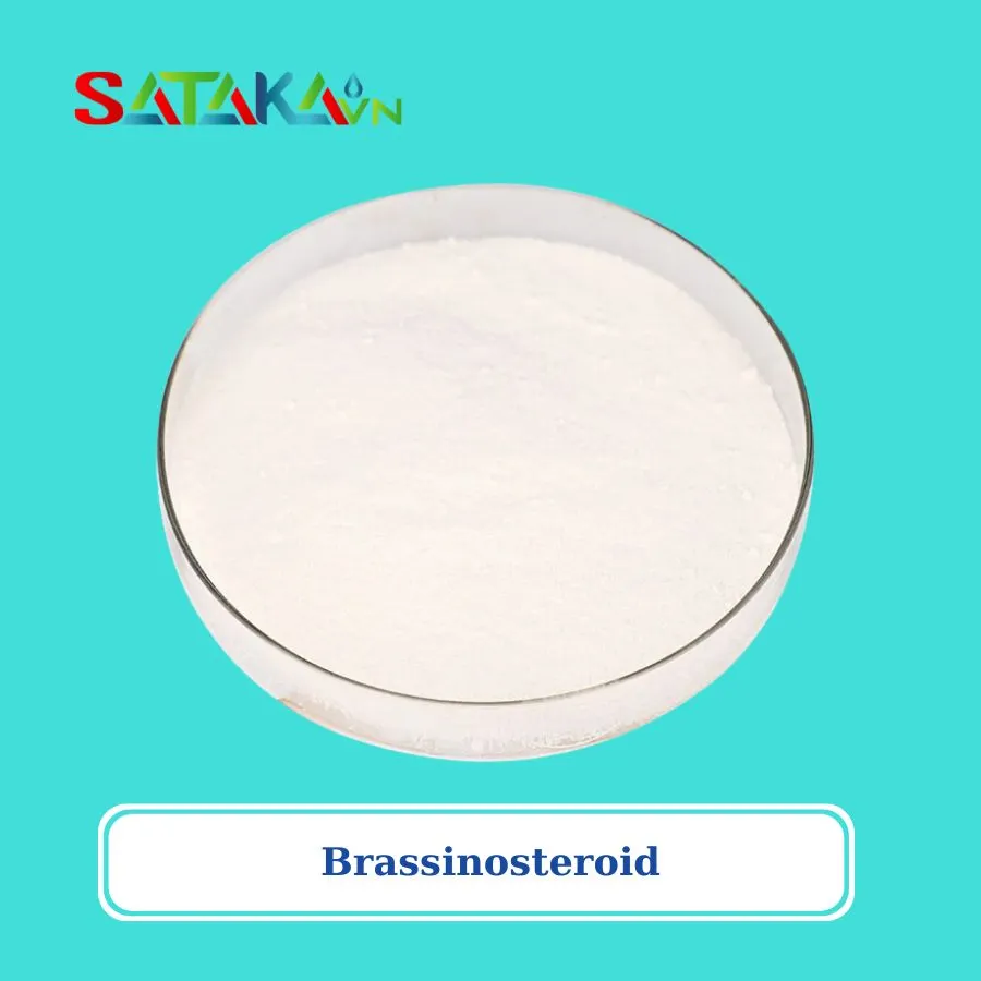 Brassinosteroid