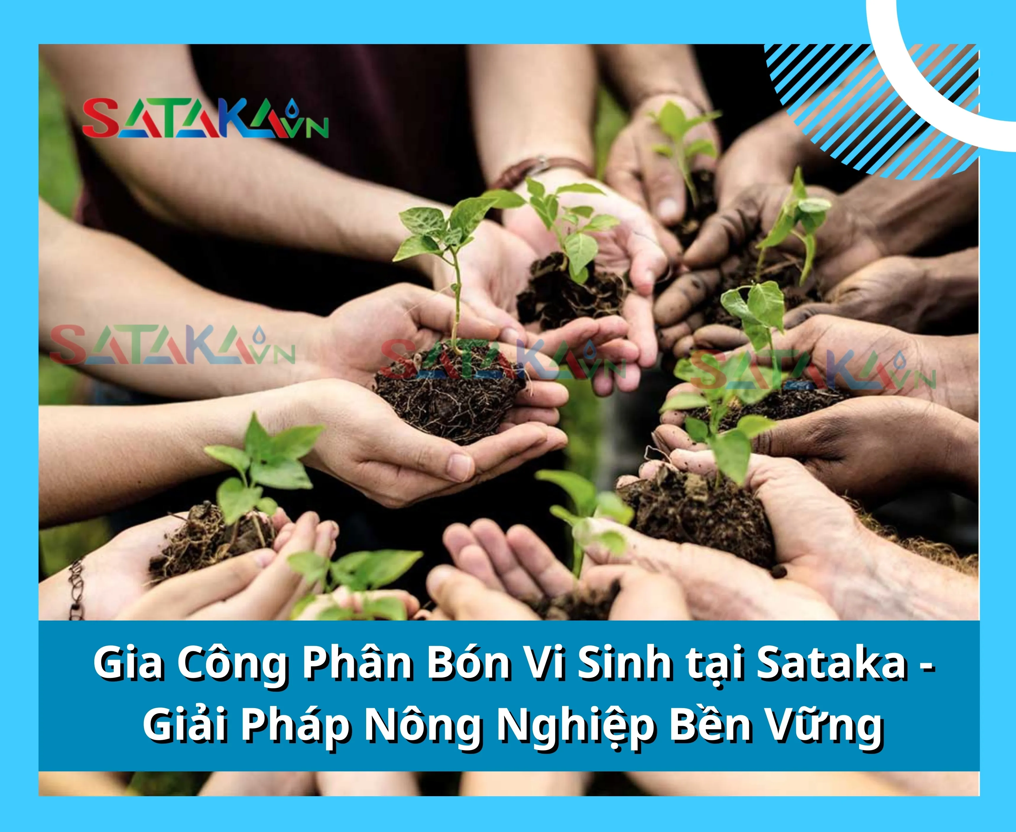Gia Công Phân Bón Vi Sinh tại Sataka - Giải Pháp Nông Nghiệp Bền Vững