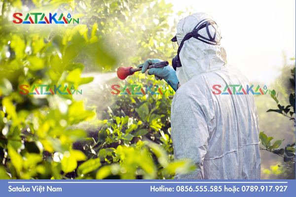 Câu hỏi thường gặp