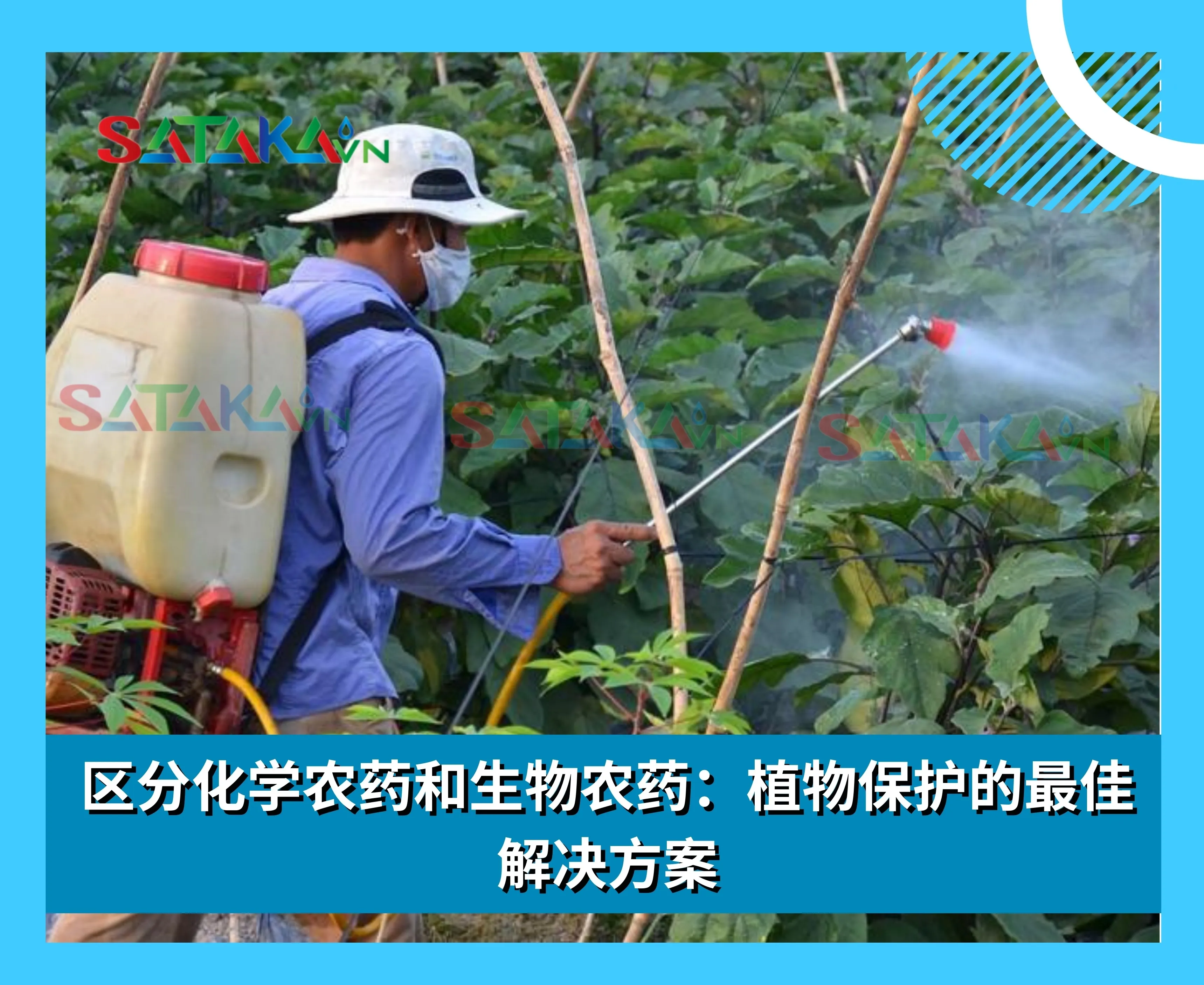 区分化学农药和生物农药：植物保护的最佳解决方案