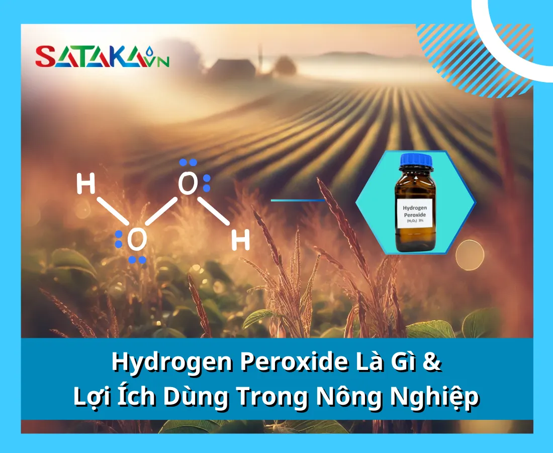 Hydrogen Peroxide Là Gì & Lợi Ích Dùng Trong Nông Nghiệp 