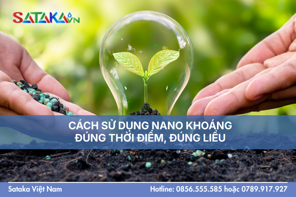 CÁCH SỬ DỤNG NANO KHOÁNG ĐÚNG THỜI ĐIỂM, ĐÚNG LIỀU