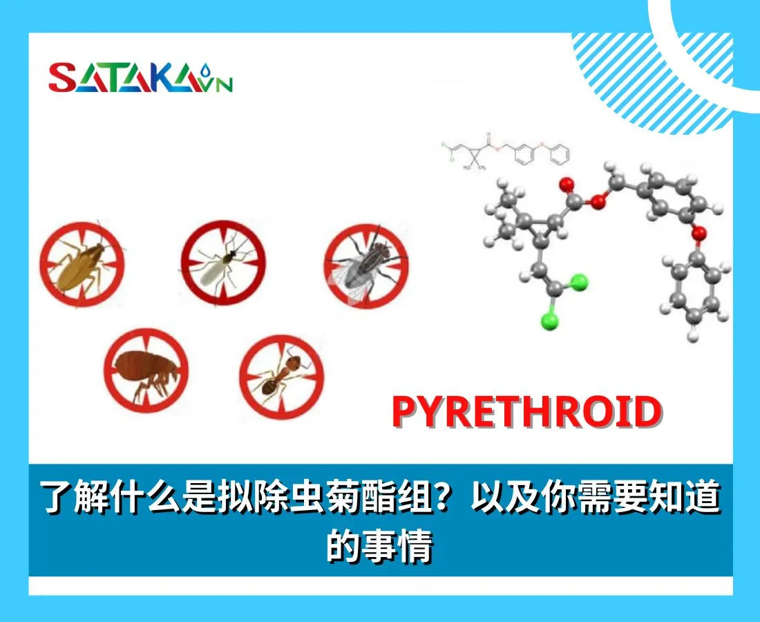 了解什么是拟除虫菊酯组？以及你需要知道的事情