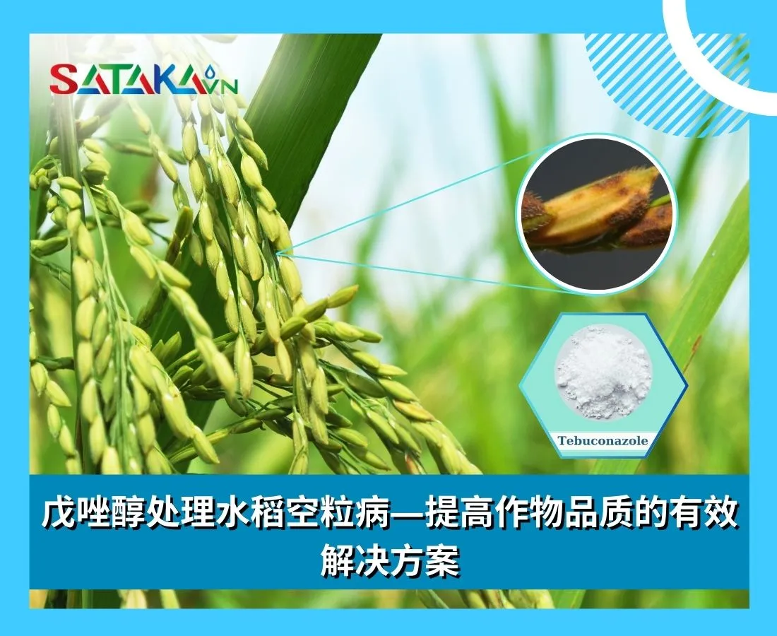 戊唑醇处理水稻空粒病—提高作物品质的有效解决方案