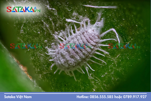 Câu hỏi thường gặp