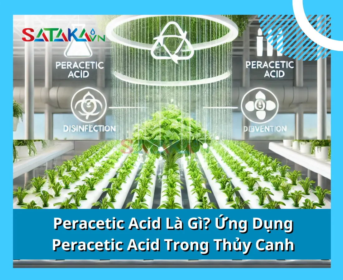 Peracetic Acid Là Gì? Ứng Dụng Peracetic Acid Trong Thủy Canh