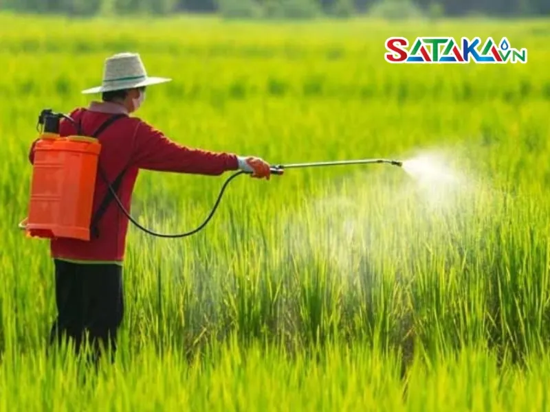 Use medicine properly and have protective gear for safety