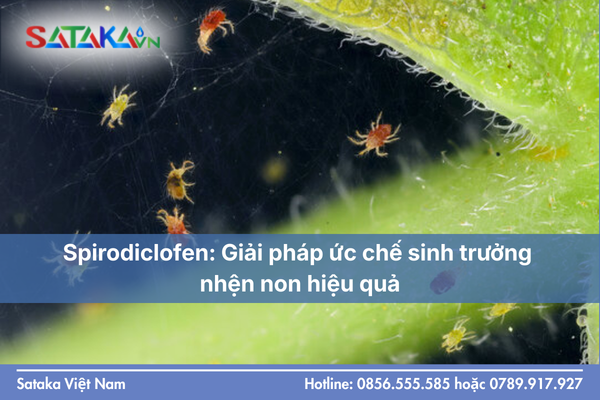 Spirodiclofen: Giải pháp ức chế sinh trưởng nhện non hiệu quả