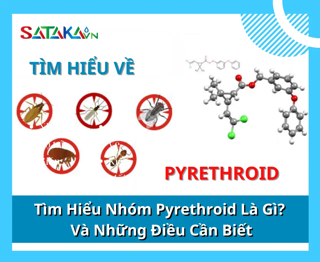 Tìm Hiểu Nhóm Pyrethroid Là Gì? Và Những Điều Cần Biết