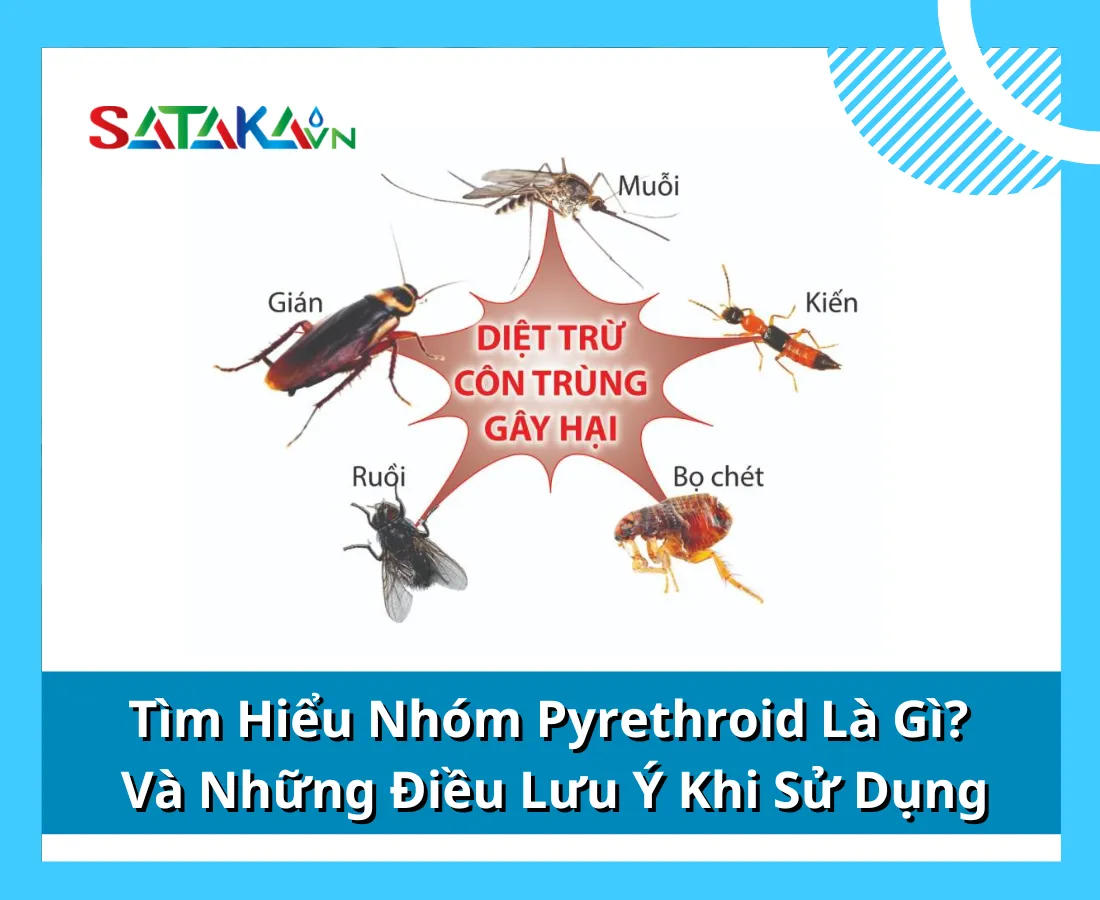 Tìm Hiểu Nhóm Pyrethroid Là Gì? Và Những Điều Cần Biết