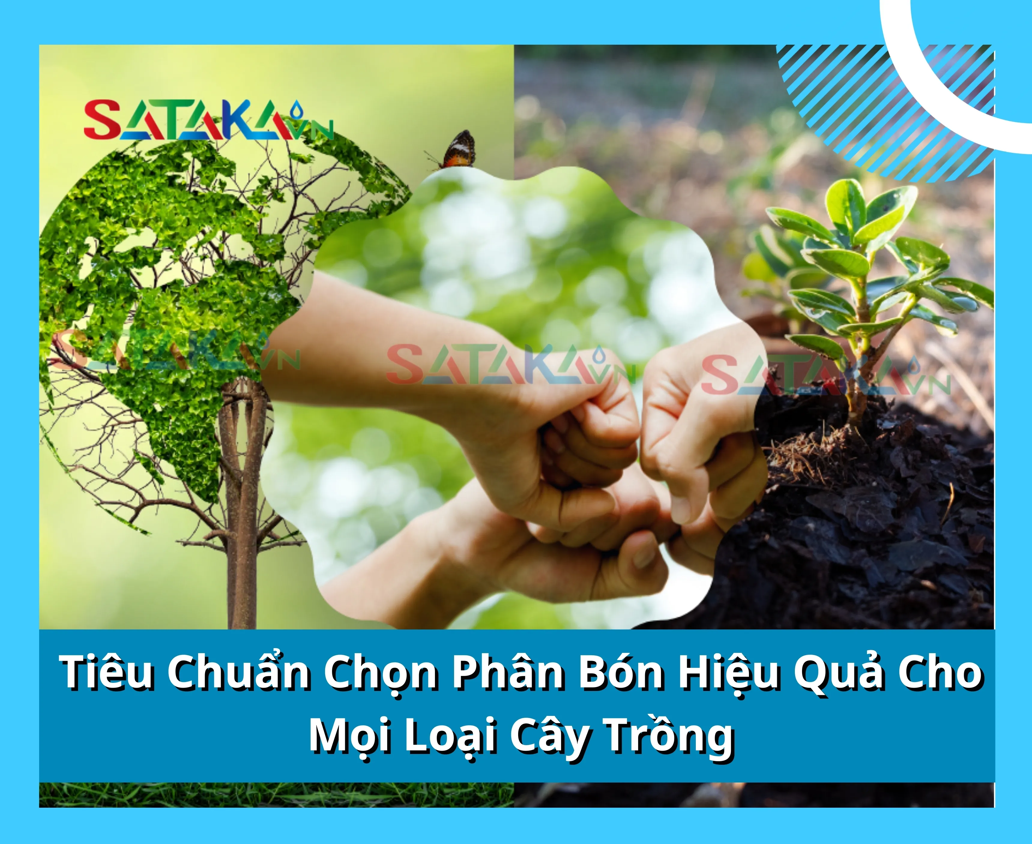 Tiêu Chuẩn Chọn Phân Bón Hiệu Quả Cho Mọi Loại Cây Trồng