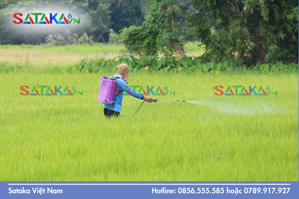 Hướng dẫn sử dụng để tối ưu hóa sức mạnh bẻ gãy kháng thuốc