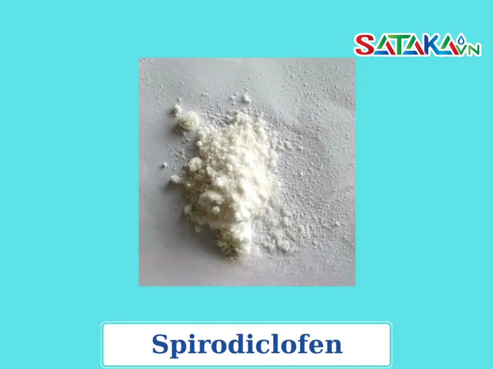 Spirodiclofen ກຳຈັດແມງແດງໃນຕົ້ນສົ້ມ